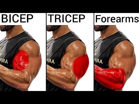 “Complete Arm Workout for Bigger Biceps, Triceps & Forearms | Build Massive Arms at Home or Gym”