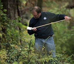 6 Key Components: Larval Mosquito Surveillance and Control