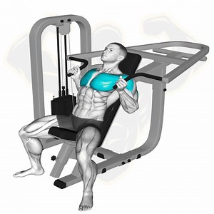 7.2K views · 358 reactions | Full chest | Muscle man | Facebook