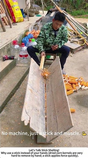 Hand Shelling Corn with a Stick – Simple, Old‑School Method 🌽🔨