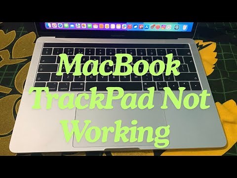 How to Fix TrackPad Not Working on Mac