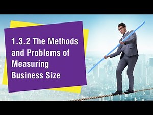 1.3.2 The Methods and Problems of Measuring Business Size