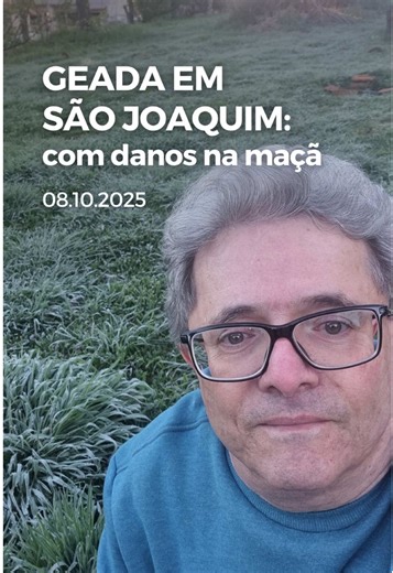 Análise dos Efeitos da Geada na Agricultura Brasileira