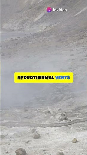 Discover Why Seawater Is Salty: Unveiling the Secrets of Ocean Salinity