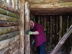 149K views · 4.2K reactions | Building a forest house - The work never ends Bushcraft. | Anabel Bray | Facebook