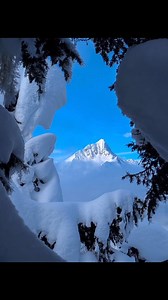 4.1K views · 38 reactions | Scenics From Rogers Pass, BC, This Week! This place always blows my mind 勞. This is the one and only true ski paradise... Thanks, BC! | SnowBrains | Facebook