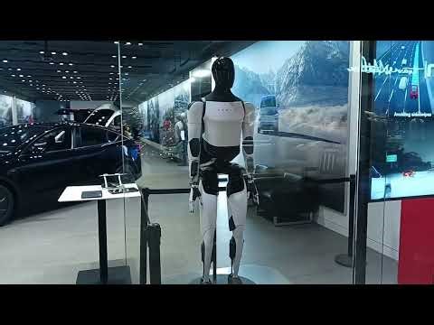 Tesla Terminator, This will not end well