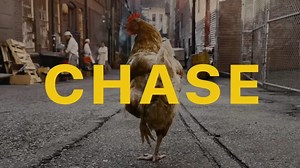 Apple's new ad for the iPhone 14 Pro line goes fowl