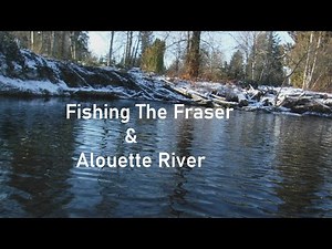Fishing The Fraser River & Alouette River