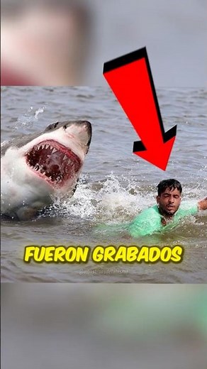 The Worst Shark Attacks Caught on Camera 😱