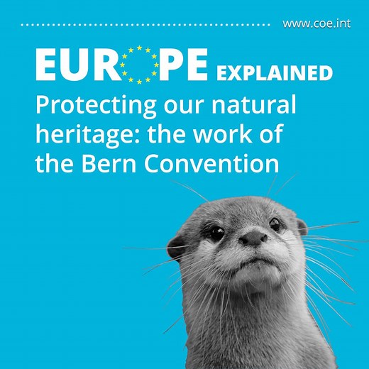 20 reactions | Celebrating the 45th anniversary of the...