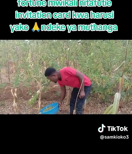 Farming Tips for Better Crop Care Techniques