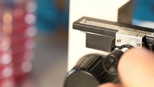 clip-2929105-adjustment-microscope