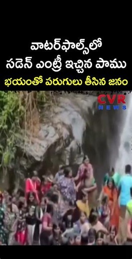 వాటర్‌ఫాల్స్‌లో సడెన్ ఎంట్రీ ఇచ్చిన పాము భయంతో పరుగులు తీసిన జనం | Virul | CVR NEWS