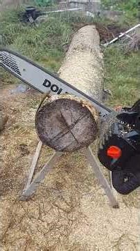 battery vs gasoline! scheppach bchs 350pros 40v vs echo 2511 clone