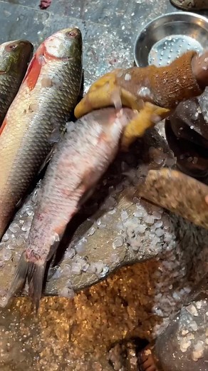 Grilled Fish Cooking at Musafir Machli Farosh, Peshawar