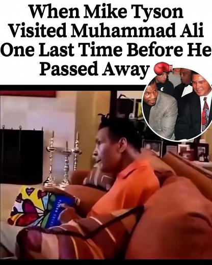 In 2016, as Muhammad Ali’s health declined, Mike Tyson visited his hero one last time to say goodbye. Tyson had always admired Ali — not just as a boxer, but as a symbol of courage and conviction. The quiet, emotional visit would become one of the most meaningful moments of Tyson’s life. When Ali passed away, Tyson traveled to Louisville to attend the funeral, serving as a pallbearer for the man he called “the greatest ever.” 🕊️ Two champions — one legacy that will live forever. 🌍❤️ Source: @p