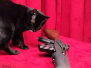 芬兰Valmet M76自动步枪(带刺刀)实弹射击测试