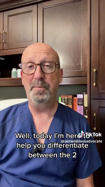 Is your pet vomiting or regurgitating? #knowthedifference #pethealthandwellness #vetadvice #petcaretips #petwellnessadvocate