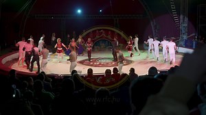 219 reactions · 25 shares | ‼️ CIRKUSZOK ÉJSZAKÁJA JEGYVÁSÁRLÁS...