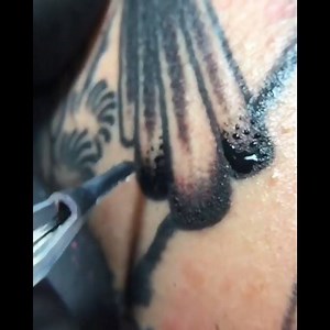 Up close and personal with Beau Brady at Captured Tattoo in Tustin, CA @beauxbrady 👀 #TATTOODO | Tattoodo