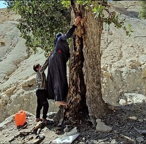 The good man's assistance and return prior to Reza Fatemeh Abbas | Single Lifes