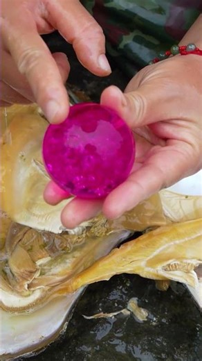 Girl collecting enchanting pearls in the wilderness