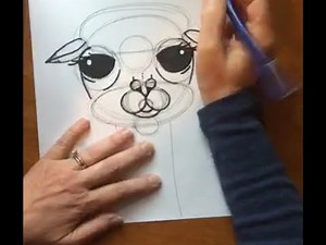 How To Draw An Alpaca - Easy