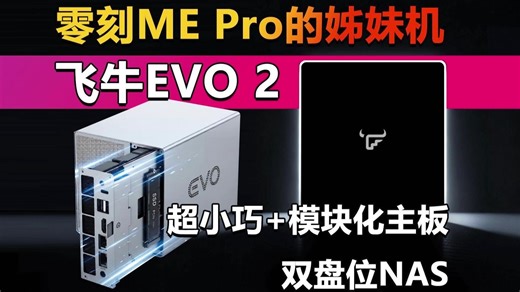 零刻ME Pro的姊妹机！飞牛EVO 2上架 超小巧 模块化主板设计的双盘位NAS