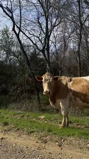 Asking locals for directions