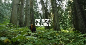 Within Reach | 113km East Ancient Forest/Chun T’oh Whudujut Provincial Park is located on the traditonal territory of the Lheidli T’enneh First Nation. This is the only inland temperate rainforest in the world. Hiking the Ancient Forest trail will bring you past thousand year old western redcedars and a rich biodiversity of plants, mosses, lichens and fungi. Anceint forest has a 450-metre long universal boardwalk and an additional 2.3km of boardwalk that provides access to magnificent “Big” Tree