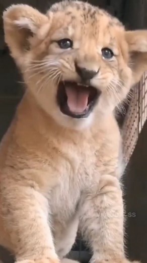 RASTGELE BİŞEYLER on Instagram: "Hangi değişimi beğendiğiniz? . #keşfet #kesfet #reels #video"