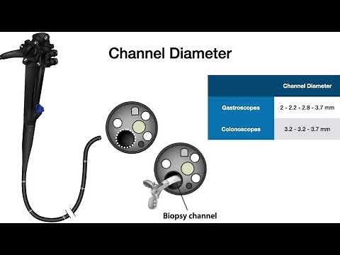 Endoscopy Technology Theory-Lesson 4-Scope specifications