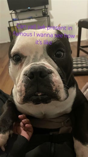 Can yall pretend pls