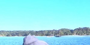 GRAPHIC: Angler indicted for manslaughter; video of fatal boat crash released, authorities say