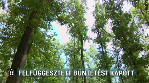 RTL Híradó - Nézd a legfrissebb híreket! | RTL Híradó