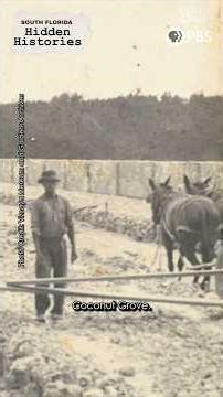 Bahamians Built this Miami City | Hidden Histories