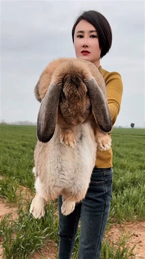 #AdorableRabbit #FatRabbitLove #BunnyCuteness #FluffyFriends #RabbitLife #PetBunny #CuteAnimals #BunnyJoy | Adorable Fat Rabbit