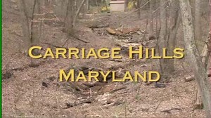 Special stormwater outfalls (bubblers) used in stream restoration projects to reduce erosive energy, Carriage Hills Outfall, Maryland