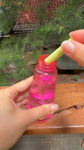 72K views · 414 reactions | easy DIY bug spray | Brooklyn B | Facebook