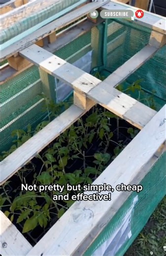 DIY Garden Shed from Pallets (Cheap & Easy Build)