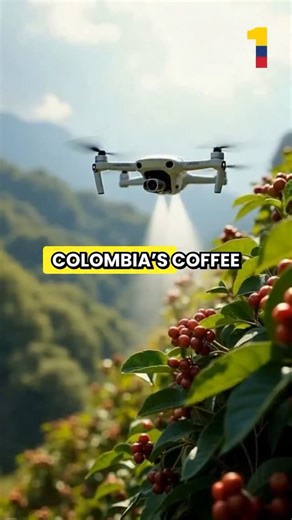 Colombia One | ☕ The Future of Colombian Coffee: Tech, Tradition & Tomorrow Colombia’s iconic coffee farms are getting a high-tech makeover. From drone... | Instagram