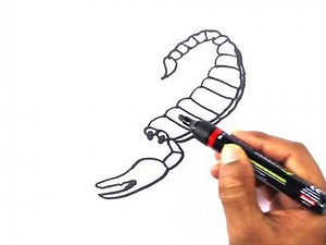 how to draw scorpion drawing coloring paintings | scorpion very easy drawing cute drawings animals