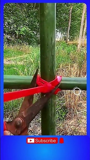 Easy Bamboo Fixing Techniques | Strong & Practical DIY Solution