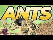 Pocket Ants- Low level colony Resin farming (EASY TUTORIAL)