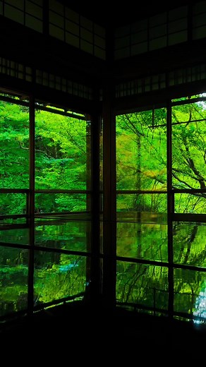 瑠璃光院の夏の絶景