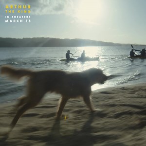 The heartfelt story of ARTHUR THE KING is NOW PLAYING! #ArthurTheKing - only in theaters 🐾 Get tickets now: https://www.bbtheatres.com/showtimes/275948-arthur-the-king/ #BBTheatres #DogFilm | Iola Sterling Six Cinemas