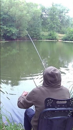Pêche Gardon canne HERABUNA 4.5 M (TEMU) 👌Pêche au coup 🐟Pêche à la pâte🏯