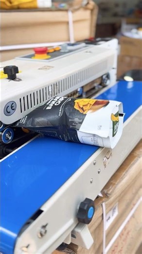 Profitable Chips Business in India 🔥 | N2 Flush Packing Using Band Sealer