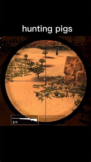 Tracking a Giant Wild Boar |heil hog hunting gameplay